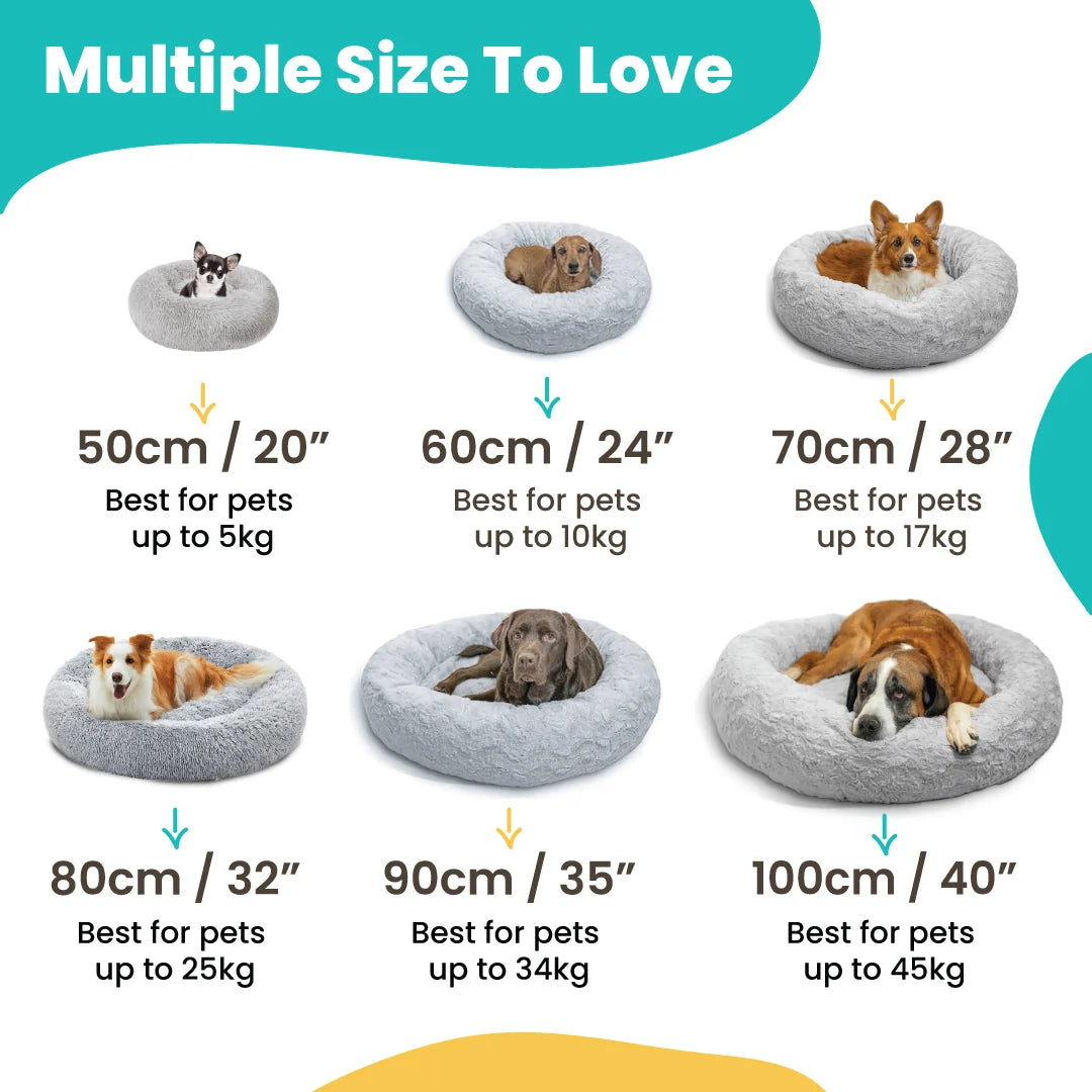 Reduce Stress, Anxiety and Give Your Dog a Better Sleep